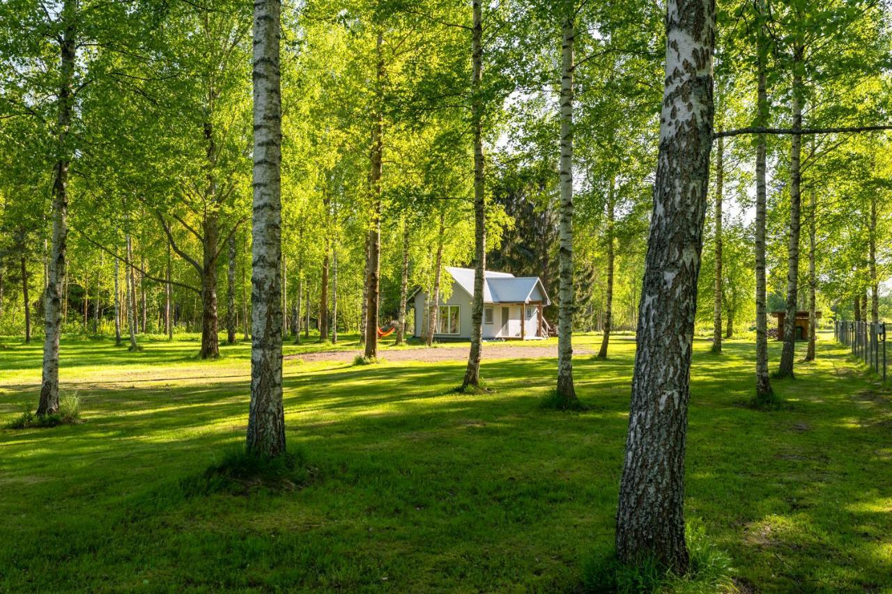 Peipsi Caravani Puhkemaja Hotel Nina Exterior photo